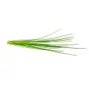C&G Plant Pod Chives