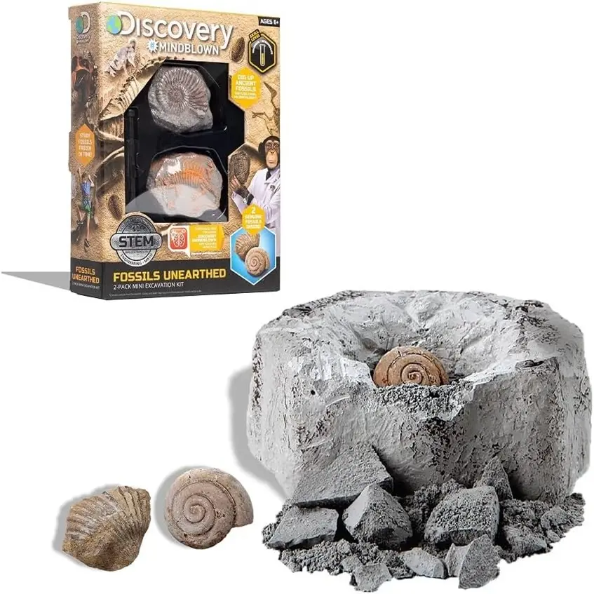 Excavation Kit Mini Fossil Discovery - 2 Pieces