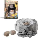 Excavation Kit Mini Fossil Discovery - 2 Pieces