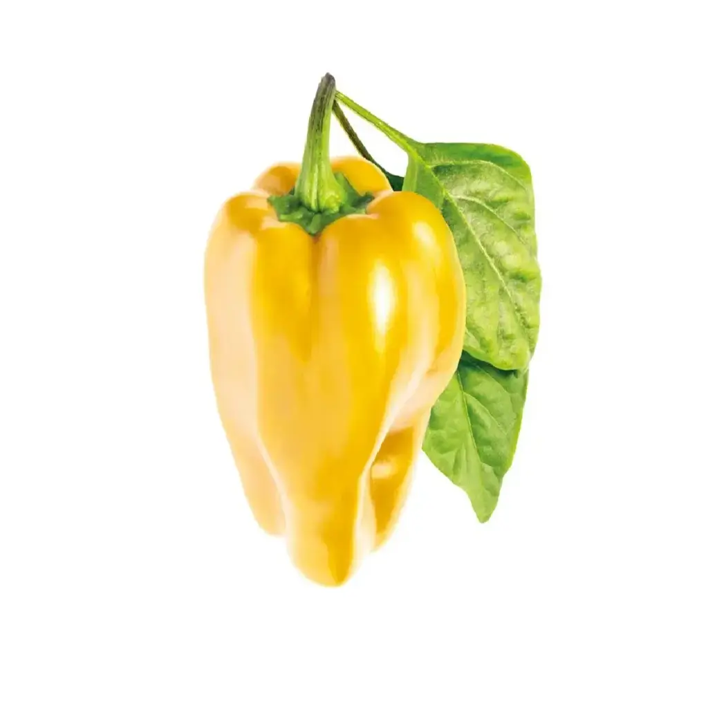Click & Grow Yellow Sweet Pepper Plant Pods (3-Pack)