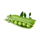Click & Grow Edible Dwarf Pea Plant Pods (3-Pack)