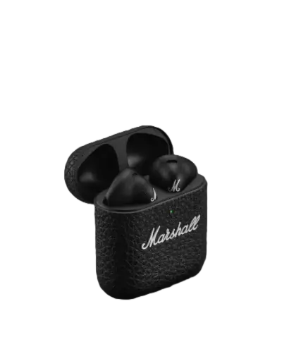 [DNA0005424]  Marshall Minor IV TWS 