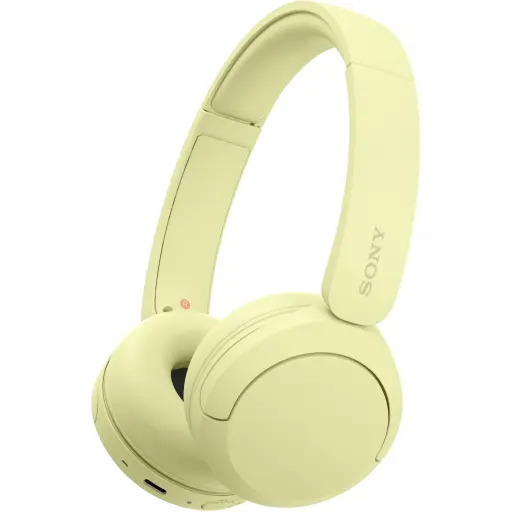 [DNA0009802] Sony CH520 Wireless Headphone