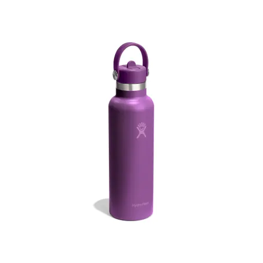[DNA0014374] Hydroflask Beachplum – زجاجة حرارية مع قشة (620 مل)