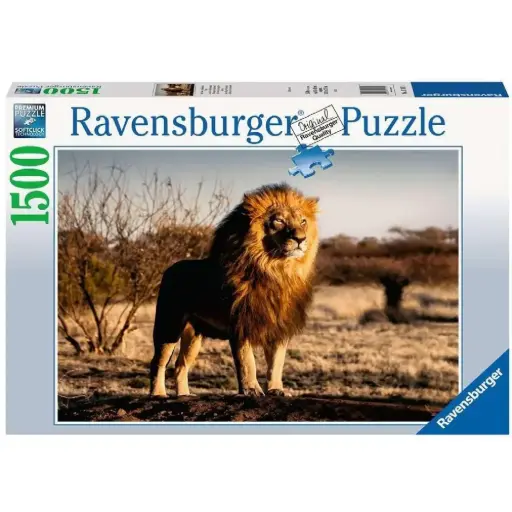 [DNA0015294] Ravensburger مغامرات بيبا 2×12 قطعة
