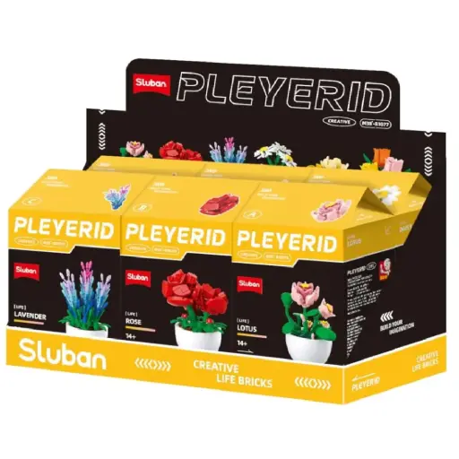 [DNA0015522] Sluban Pleyerid Potted Plants- Lavender