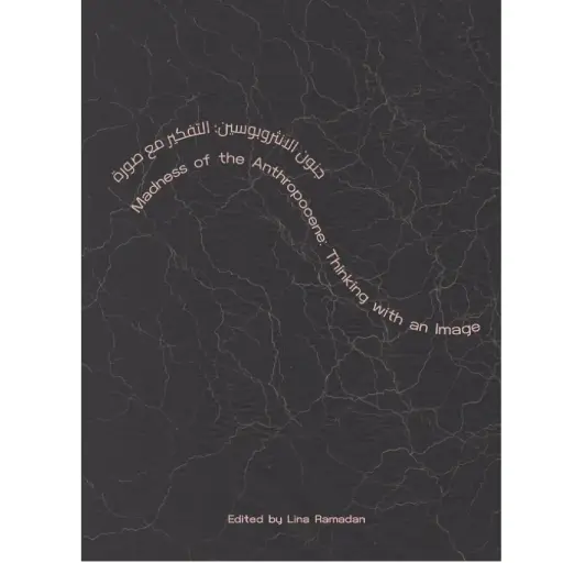 [DNA0016186] Madness Of The Anthropocene: Thinking With An Image