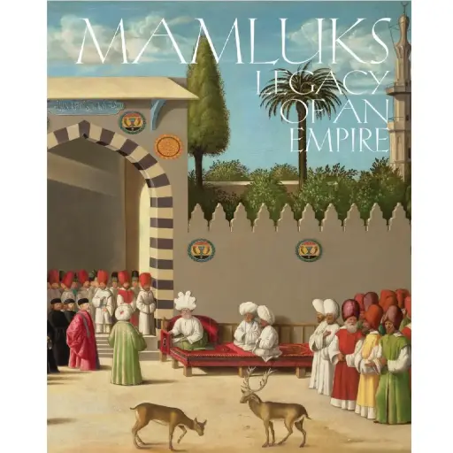 [DNA0016191] Mamluks