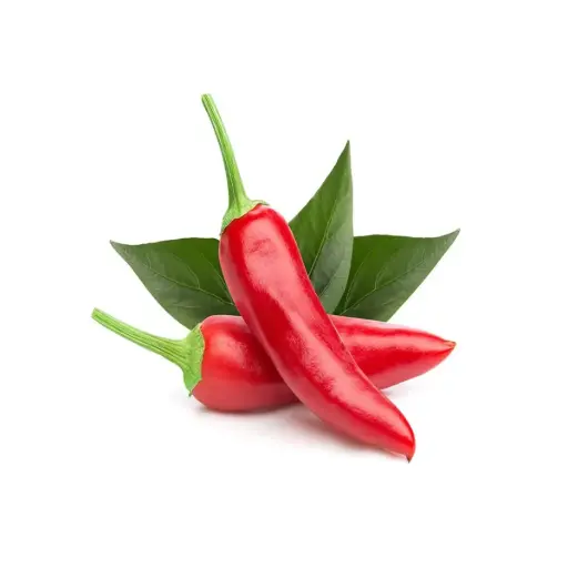 [DNA0017369] Click & Grow Chili Pepper / 3-Pack