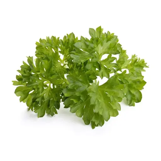 [DNA0017393] Click & Grow Curly Parsley / 3-Pack