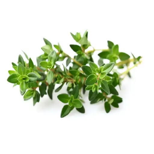 [DNA0017395] Click & Grow Thyme / 3-Pack