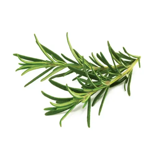 [DNA0017403] Click & Grow Rosemary / 3-Pack