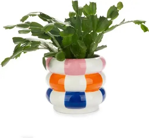 [DNA0027812] وعاء نباتات بالفي – فلواتس، ألوان متعددة، سيراميك، قطر 14.5 سم