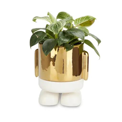 [DNA0027828] Balvi Mini flower pot,Mr.Standy Gold Edition,ceramic