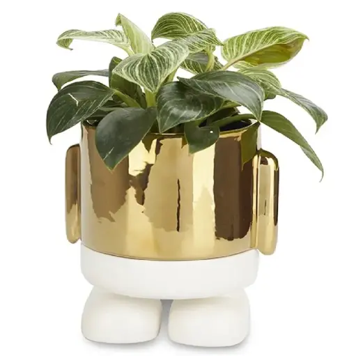 [DNA0027835] Balvi Plant Pot,Mr.Standy Gold Edition,golden,ceramic