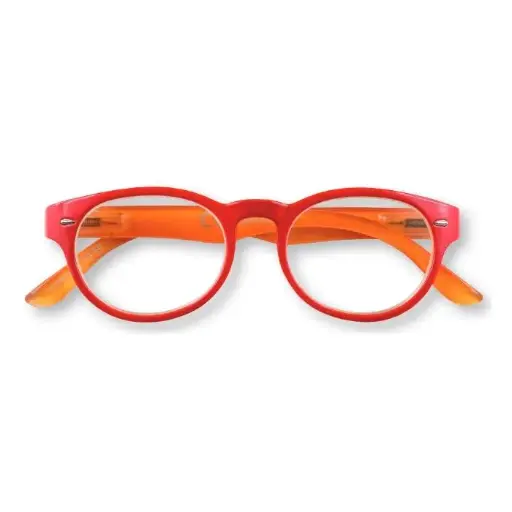 [DNA0032449] Zippo Reading Glasses – B2 Classic Red Frame +1.00 – 31Z-B2-RED100