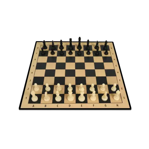 [DNA0033874] Ambassador Classic Games Chess Set - Basic