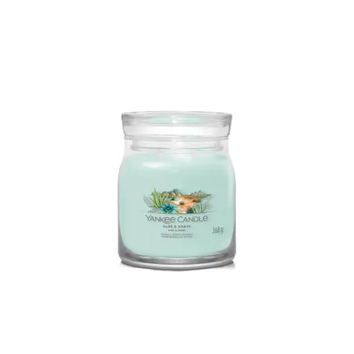 [DNA0040184] شمعة "يانكي كاندل" (Yankee Candle) الحجم المتوسط (Signature Medium Jar) - الصبار والأغاف