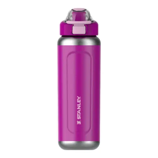 [DNA0058773] Stanley Classic Wellspring Bottle 0.71L / 24oz – Violet Blossom